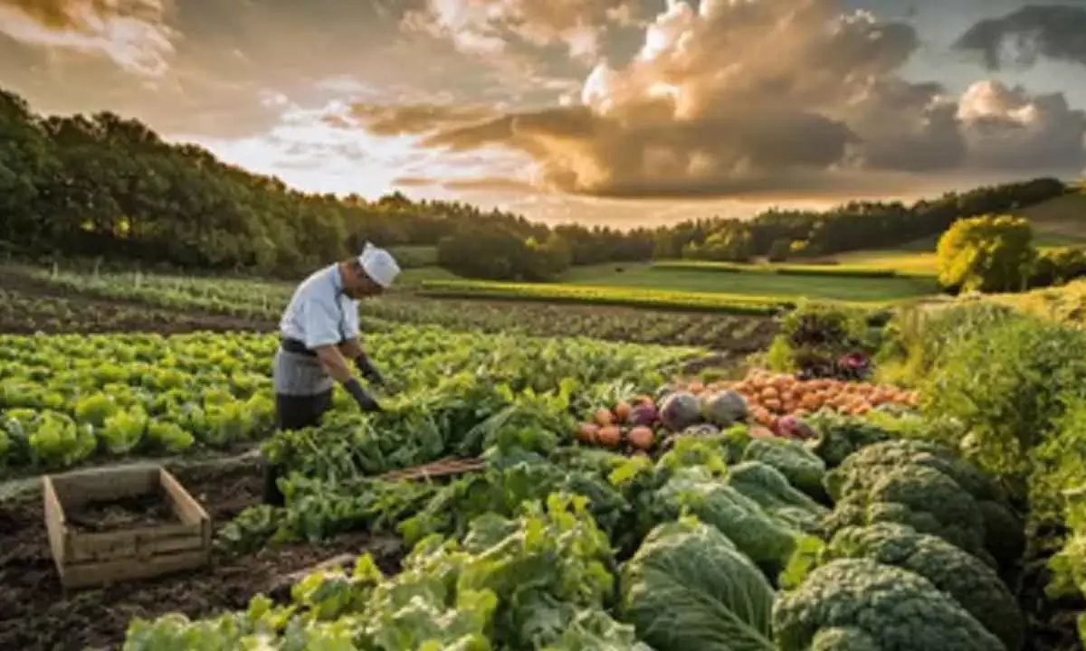 Agri Roadmap Released, Pushes For Digital Reform