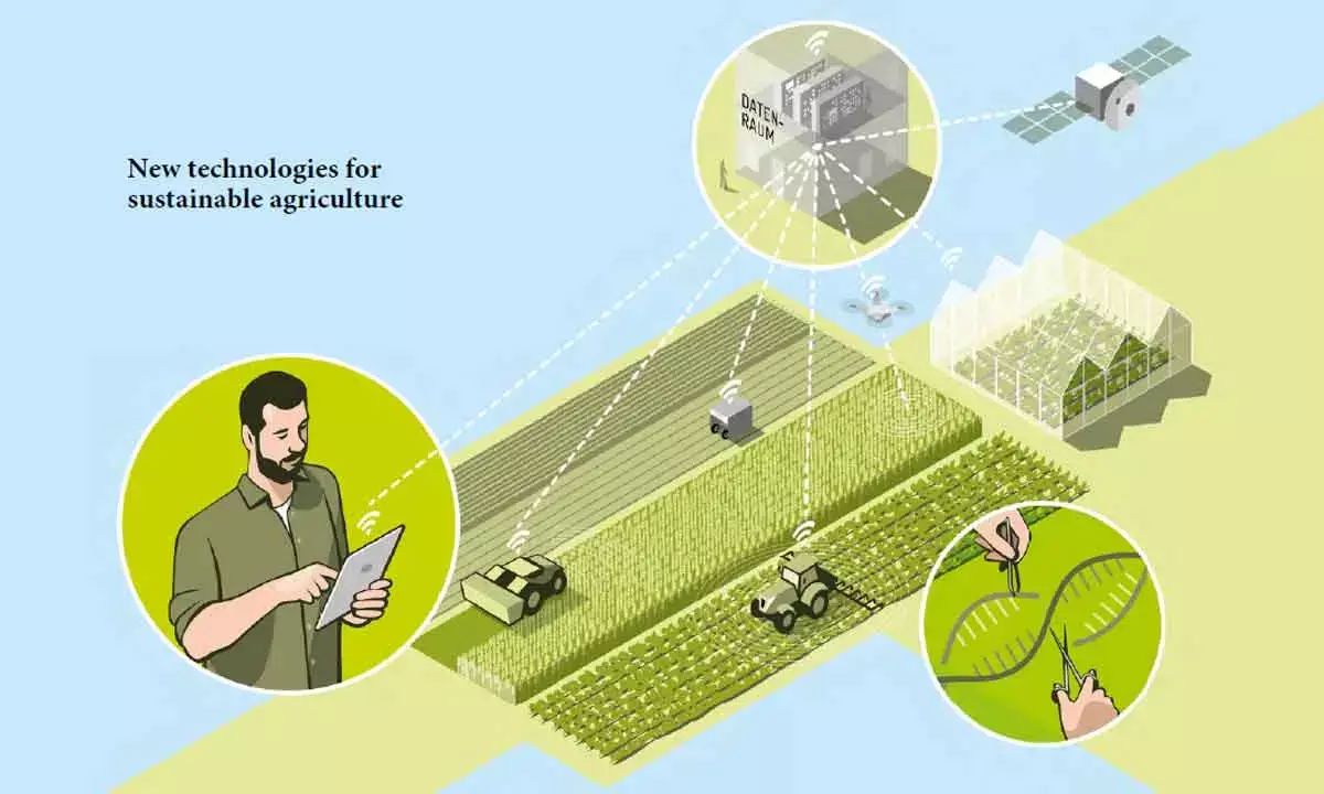 Shed Industrial Farming Systems And Pave The Way For Sustainable Food And Farming Futures