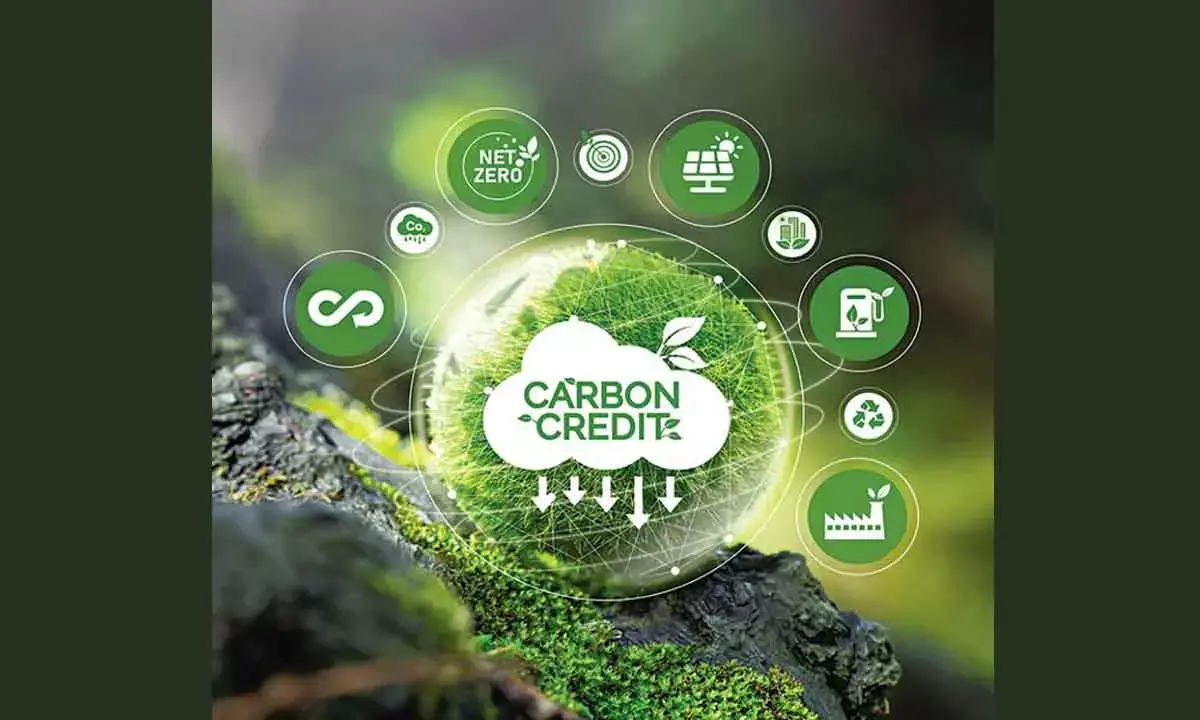Carbon Credit-Driven Green Financing Crucial For Reducing Emission Levels