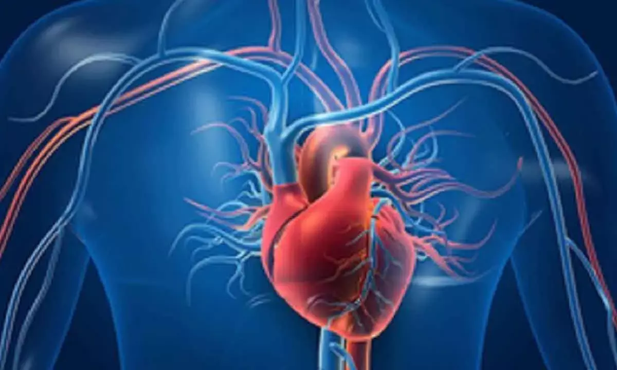 Heart Muscle Can Regenerate After Failure In Some People With Artificial Hearts: Study