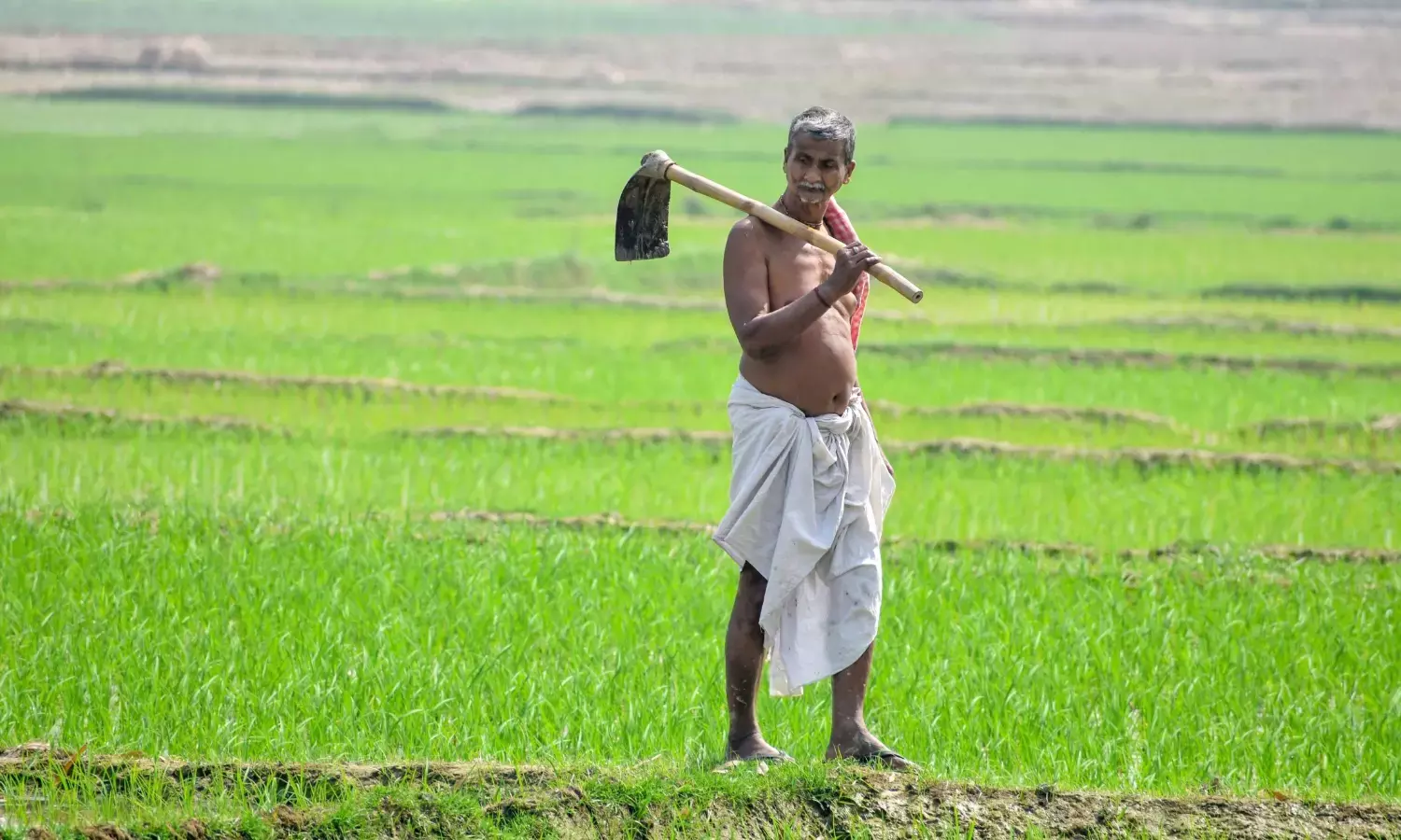 December 23: Kisan Divas- The Best & Inspiring Quotes, Messages, and Wishes