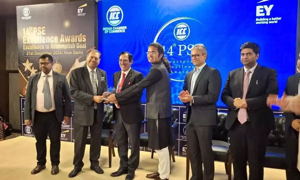 HSL Gets PSE Excellence Awards