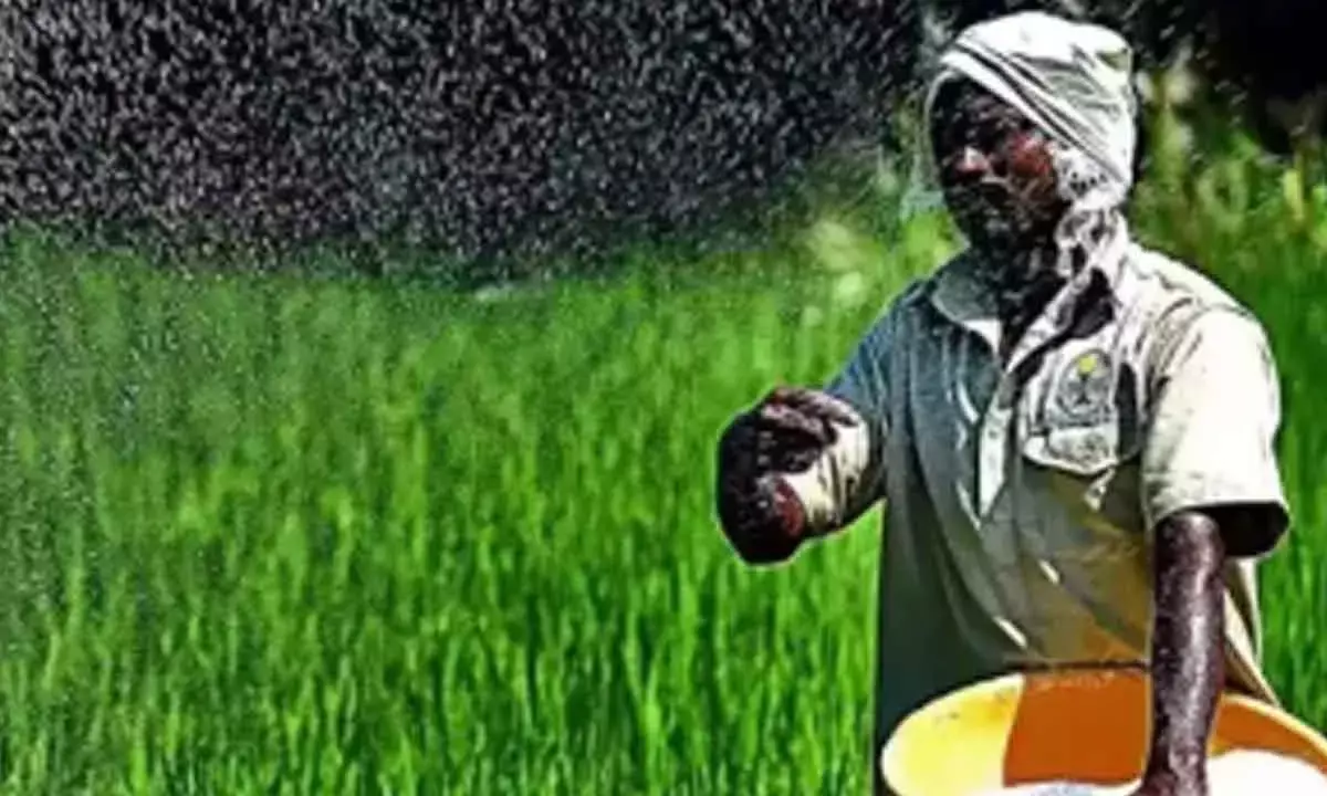 Nano Urea Demand At 2.36 Cr Bottles For Rabi