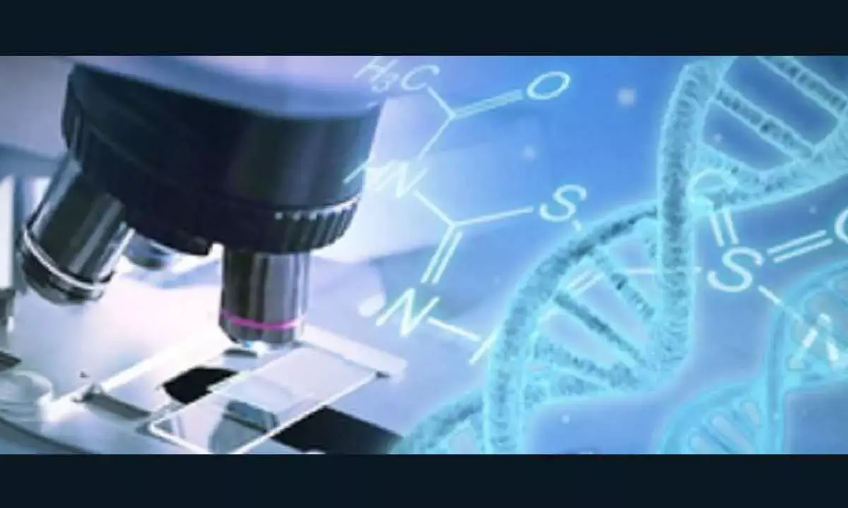 More Indian Pharma Cos To Open Innovative Research In Foreign Countries: Report