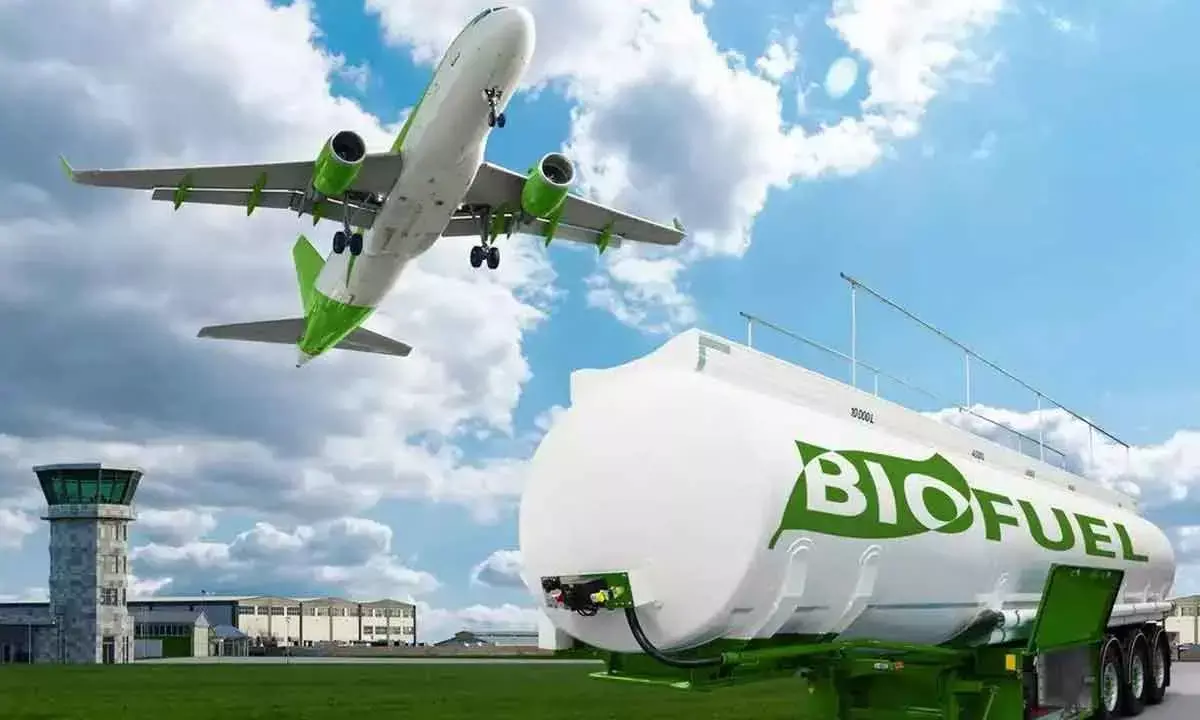 India Poised To Become Key Sustainable Aviation Fuel Producer: IATA Official
