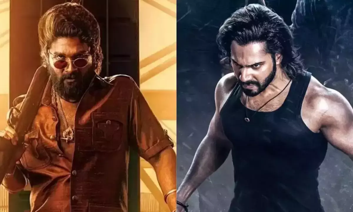 Baby John Day 1 Box Office Report: Varun Dhawans Film Opens Slow, Lags Behind Pushpa 2 and Mufasa