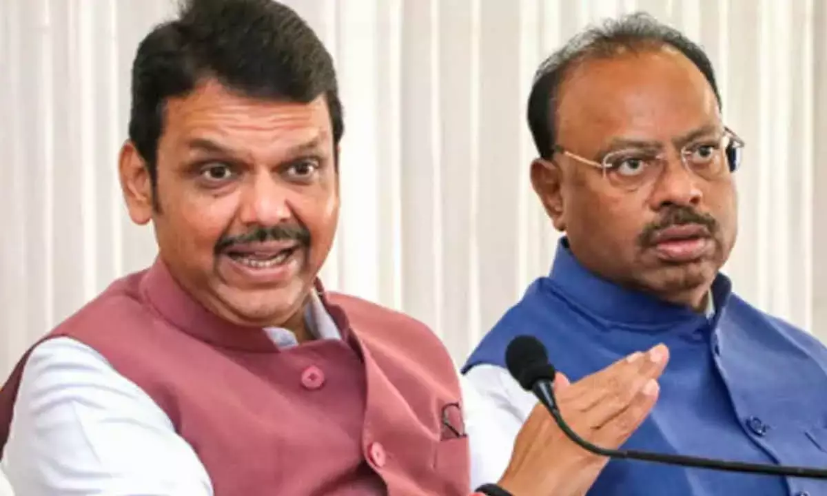 Energy Sector Roadmap For Next 25-Ys: Fadnavis