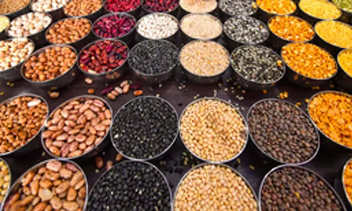 Govt Monitoring Price Volatility On 38 Food Commodities