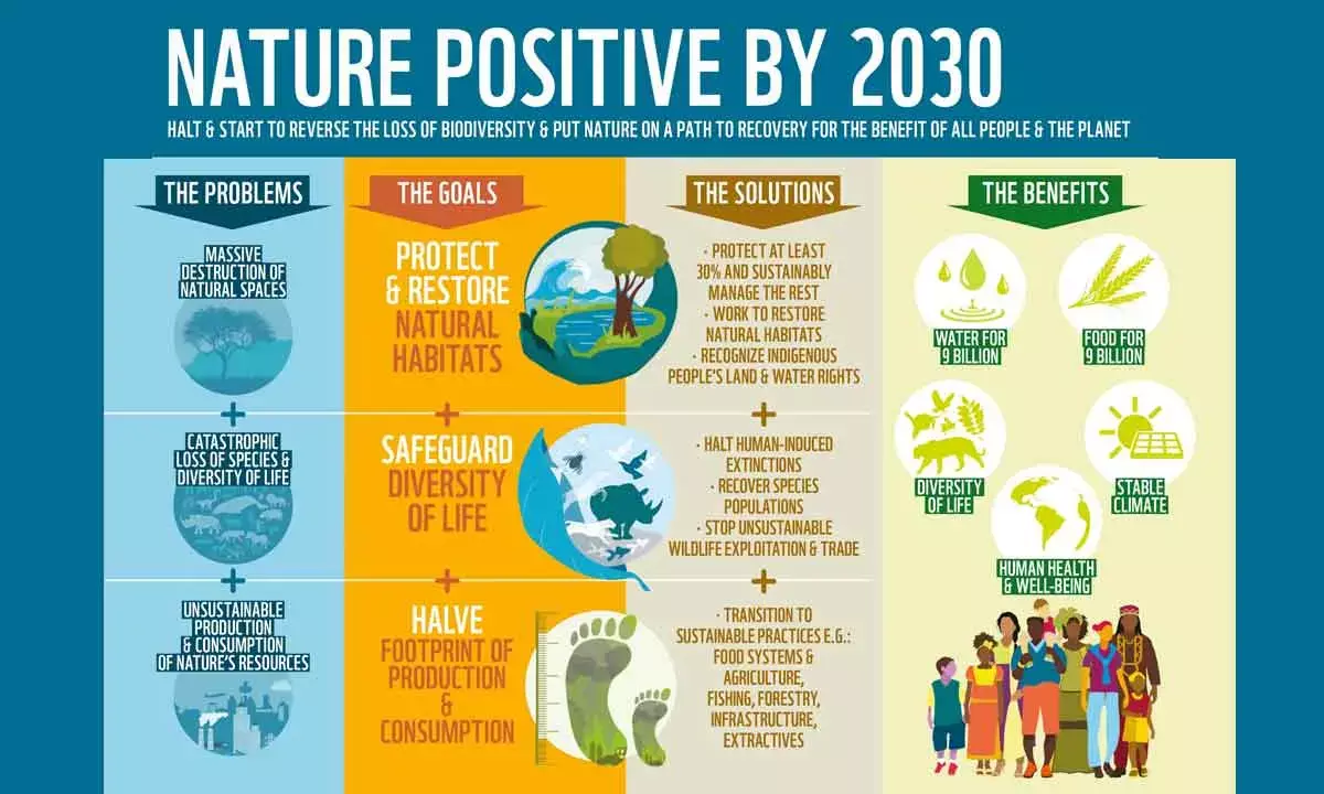 Pursue Growth With A Paradigm Shift In Economic Thinking; Not By Destroying Natural Resources Pursue Growth With A Paradigm Shift In Economic Thinking; Not By Destroying Natural Resources