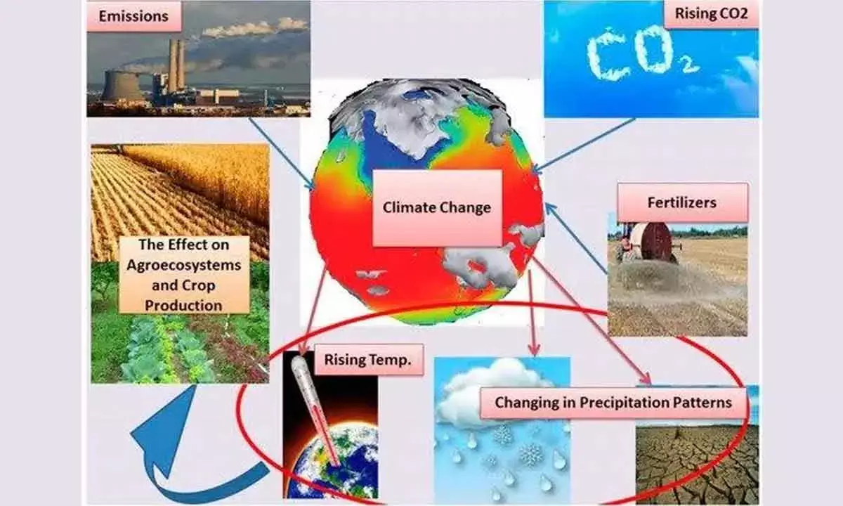 Changes In Plant Nutritional Value Due To High CO2 Levels Will Impact The Entire Global Ecosystem
