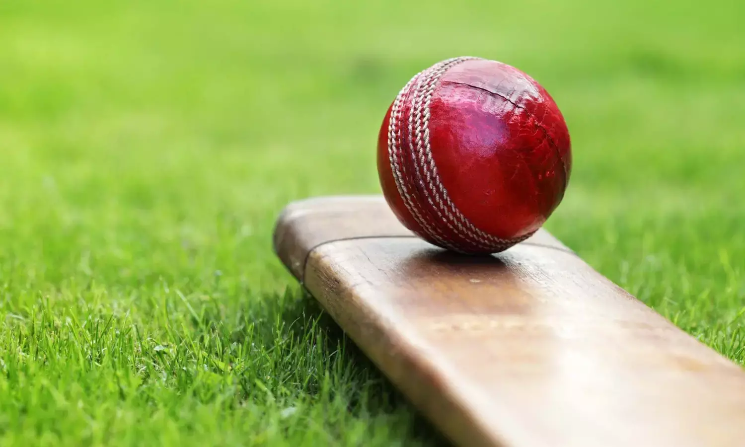 Haryana vs Assam, Vijay Hazare Trophy 2024: Toss Update, Playing XIs, and Live Streaming Information