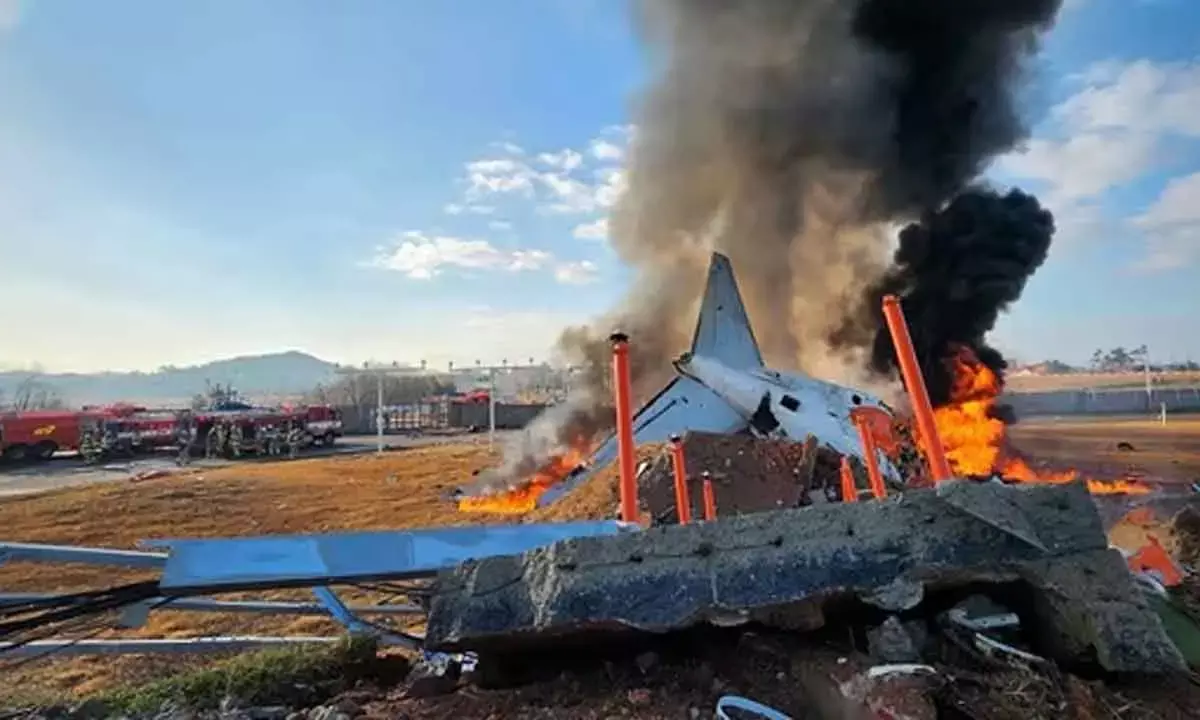 Plane Crash In S Korea Kills 179