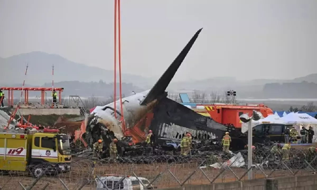 Pilot Declares Mayday: What Led to the Jeju Air Plane Crash in South Korea?
