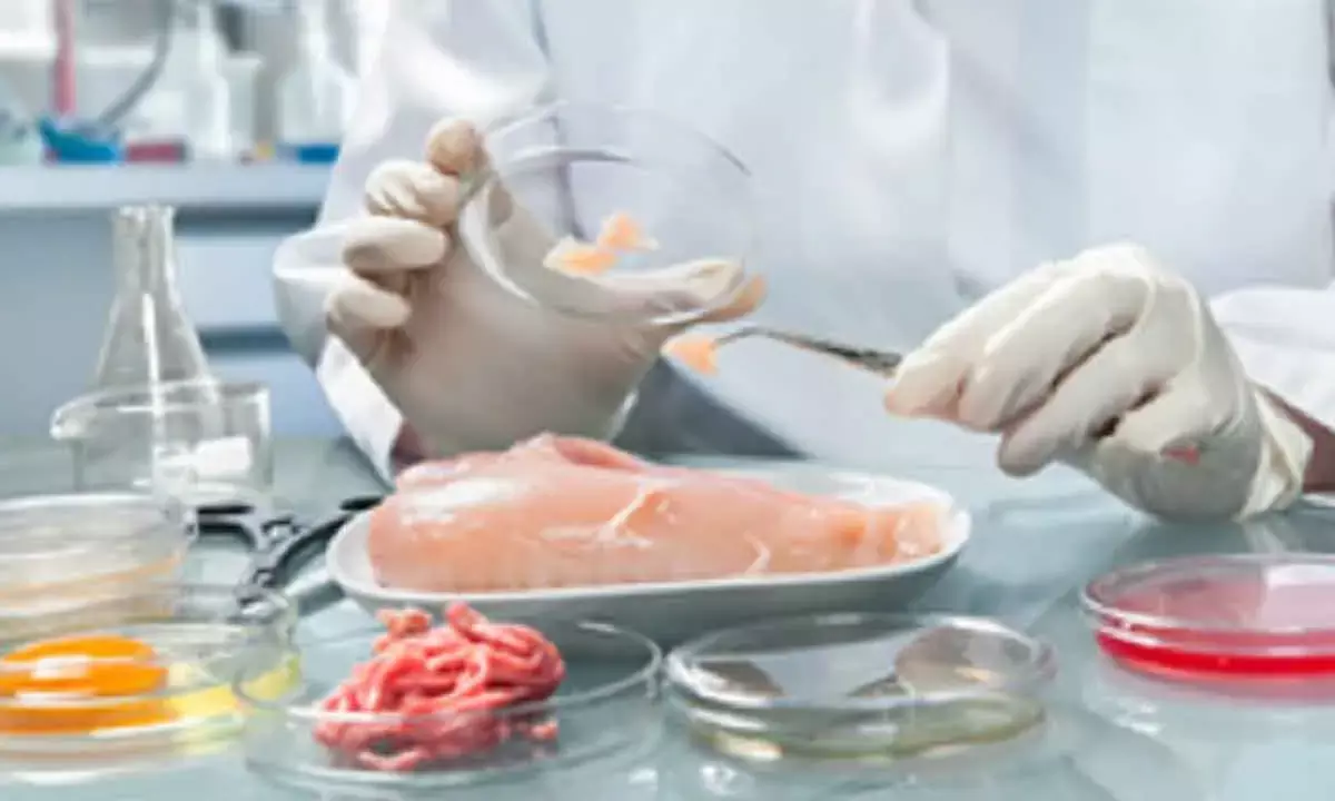 APAC Region Sees Rise In Demand For Lab-Grown Meat, Says Report