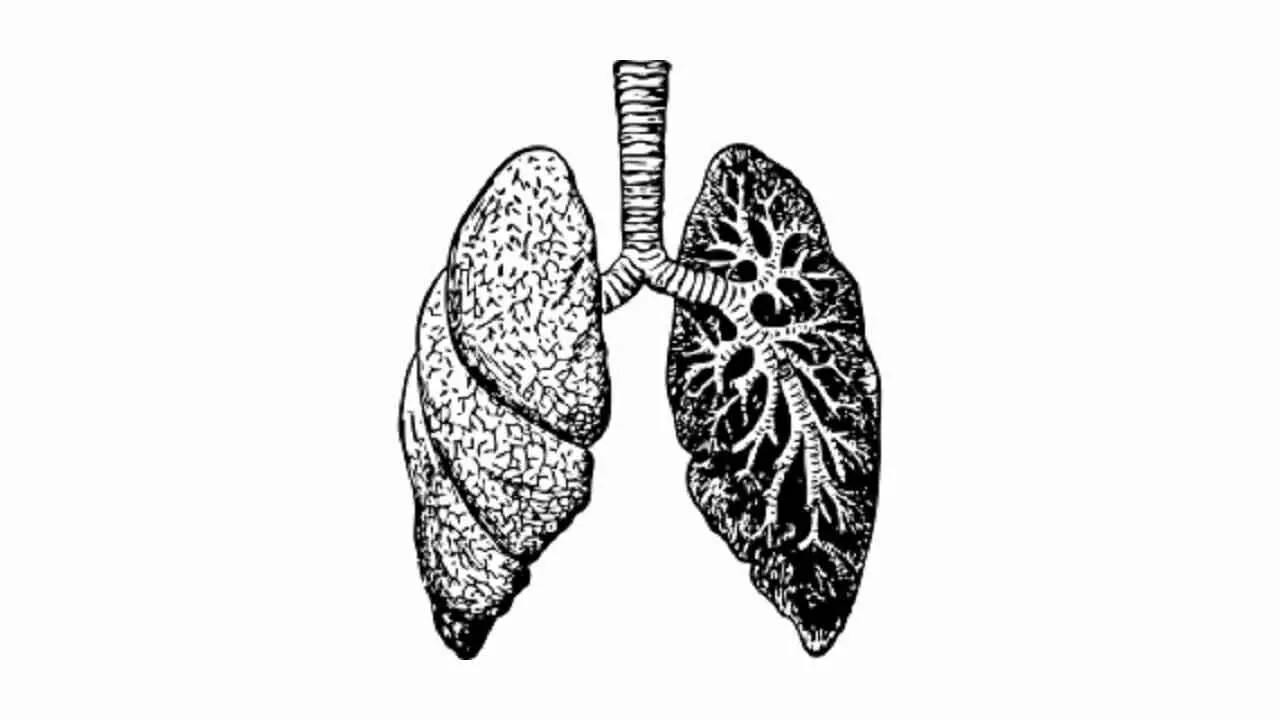 Sepsis-Induced Lung Injury: Ozone Therapy, Promising New Treatment Sepsis-Induced Lung Injury: Ozone Therapy, Promising New Treatment