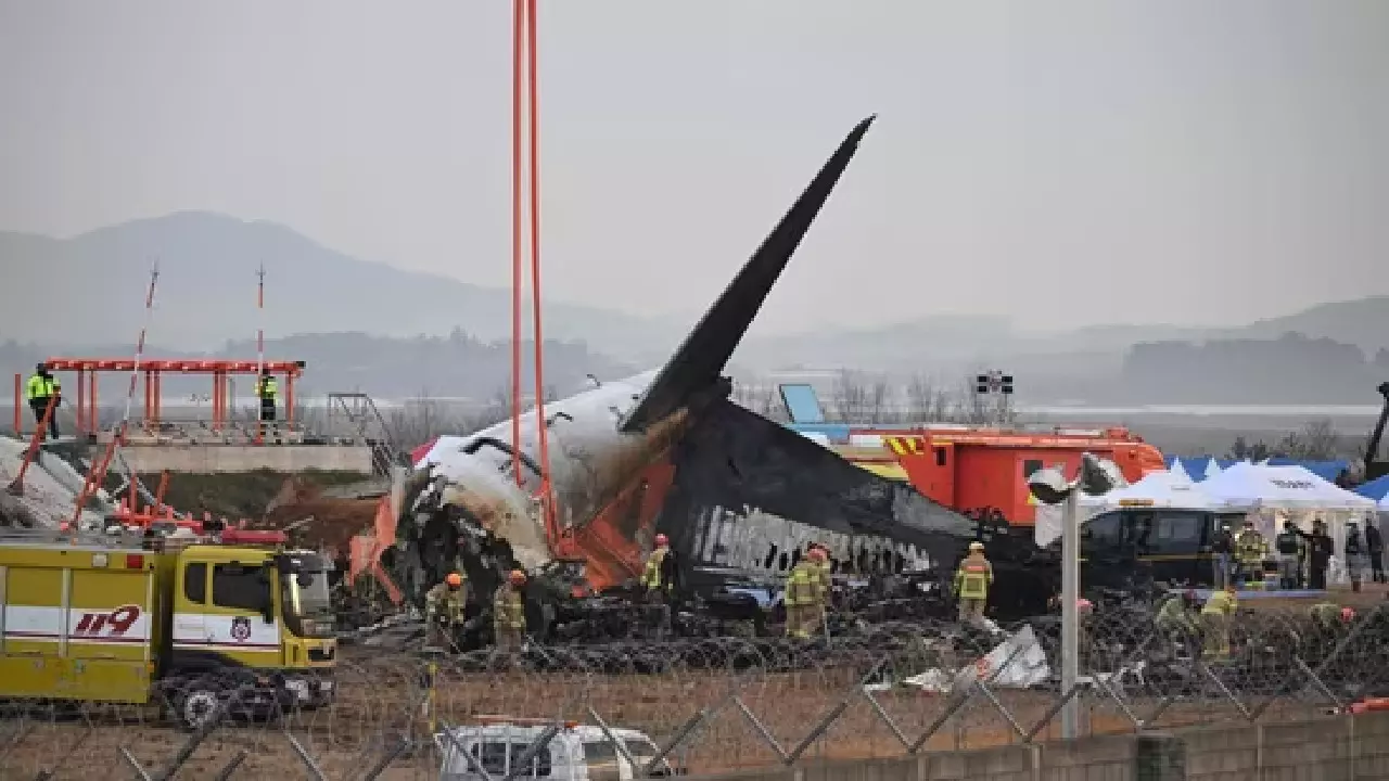 Pilot Declares Mayday: What Led to the Jeju Air Plane Crash in South Korea? Pilot Declares Mayday: What Led to the Jeju Air Plane Crash in South Korea?