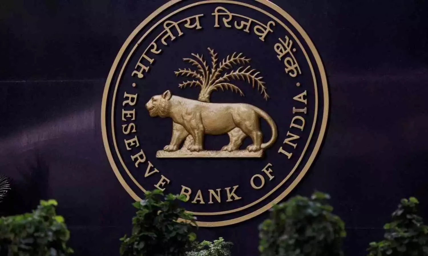 RBI Should Rethink Forex Strategy: Economists RBI Should Rethink Forex Strategy: Economists