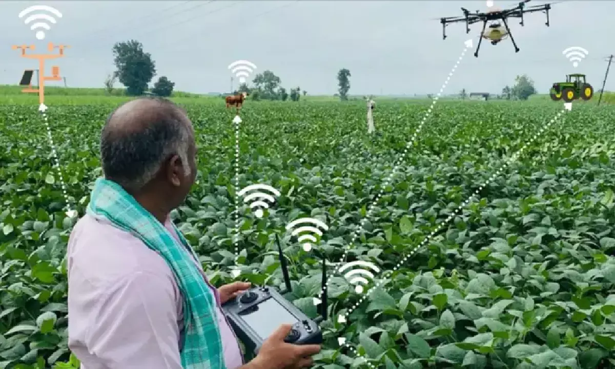 TG Agriculture: Revolutionizing Rice Planting with Drones for Cost-Effective Farming