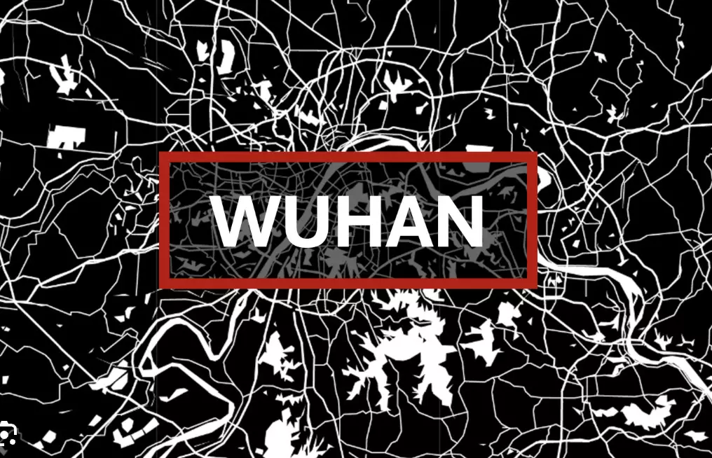 From Wuhan to the World: Chinas role in spreading the Covid-19 pandemic From Wuhan to the World: Chinas role in spreading the Covid-19 pandemic