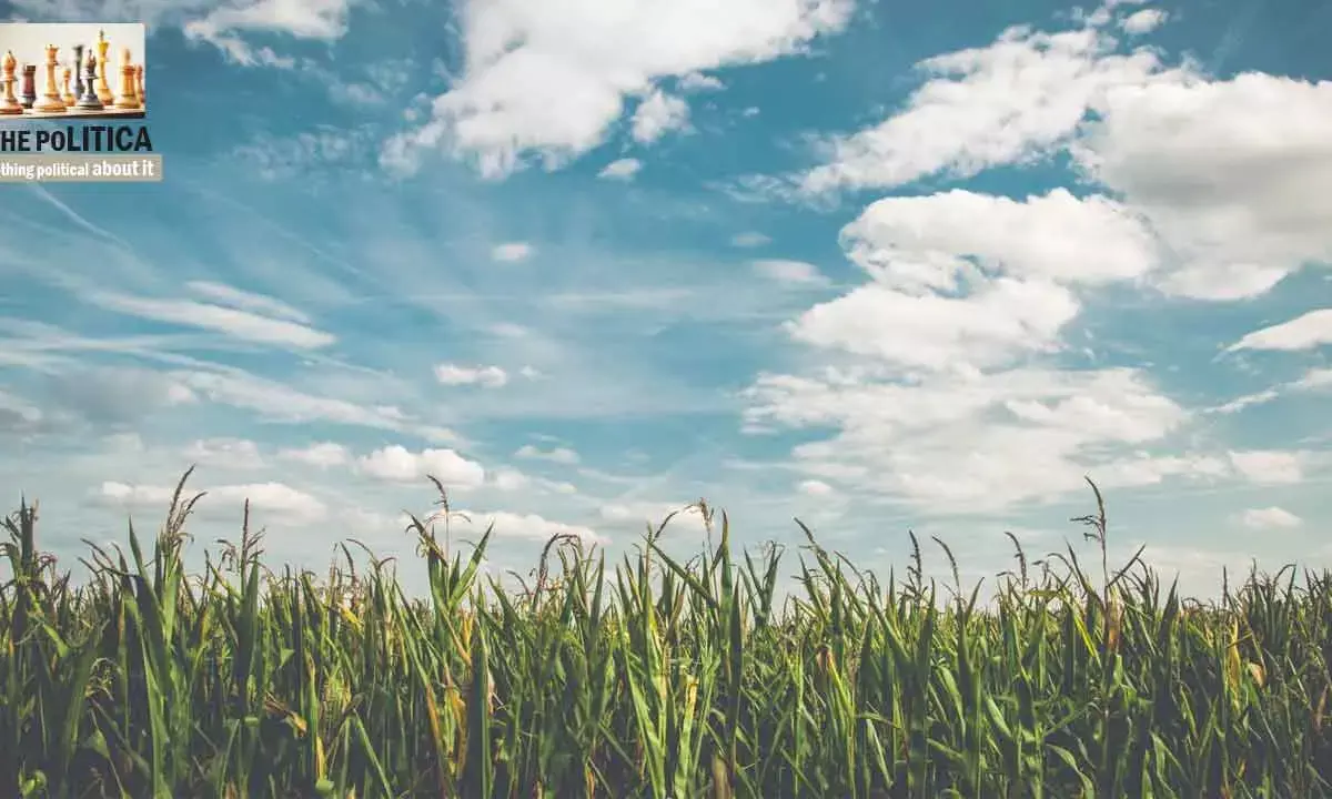 Clean Air Is My Birth Right And I Shall Fight For It!