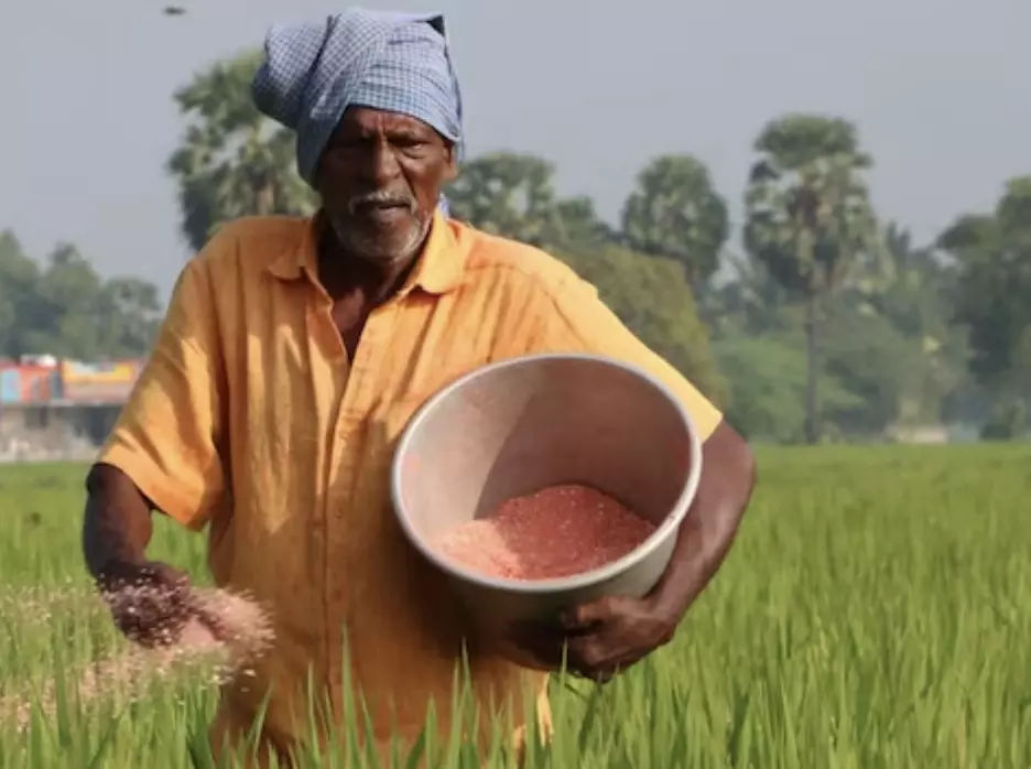 Centre enhances crop insurance allocation and fertiliser subsidy to support farmers