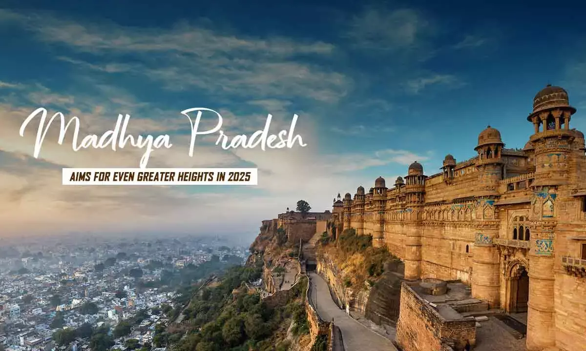 MP Aims For Even Greater Heights In 2025