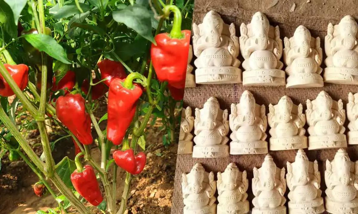 Telangana, AP Gear Up For New GIs In 2025 With Agri, Handicrafts Products