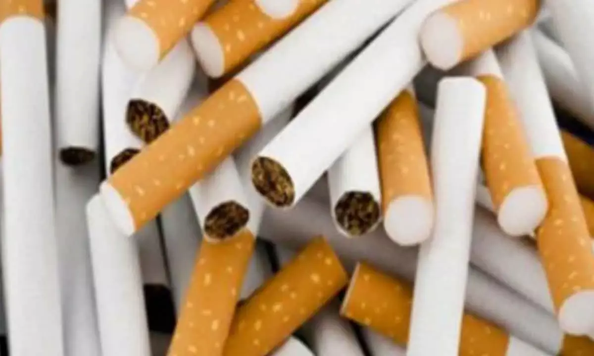 India’s Tobacco Exports Surge To Record High Of Rs 12,005 Cr