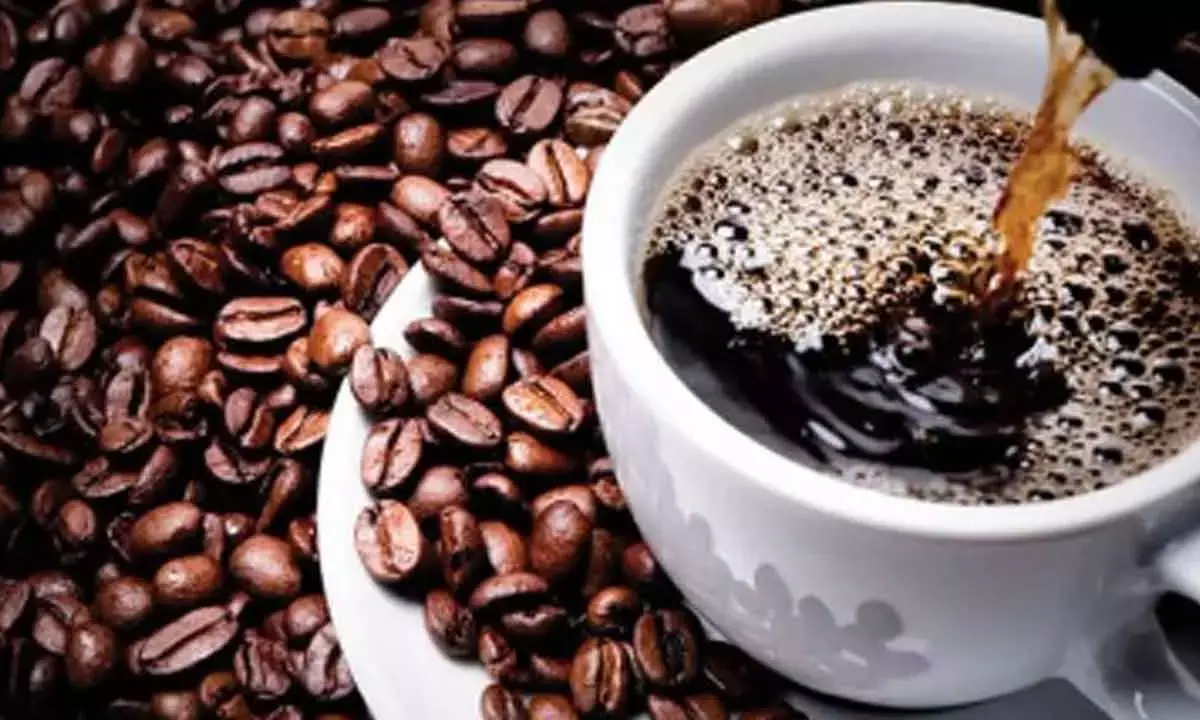 India’s Coffee Exports Surge Past Record $1 Billion Mark