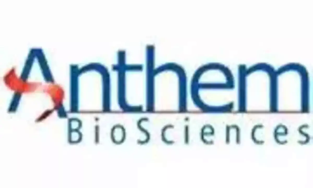 Anthem Bio Files For Rs 3,395-Cr IPO