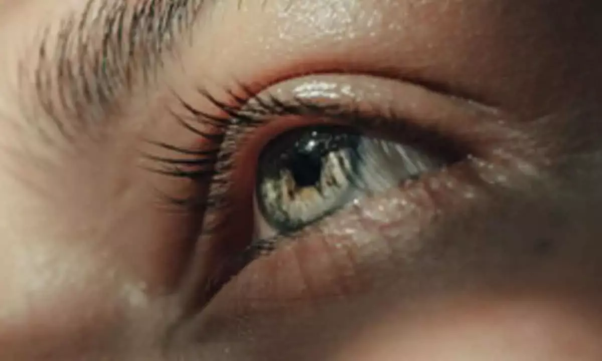 Pupil Size Plays Key Role In Storing Memories In Brain: Study