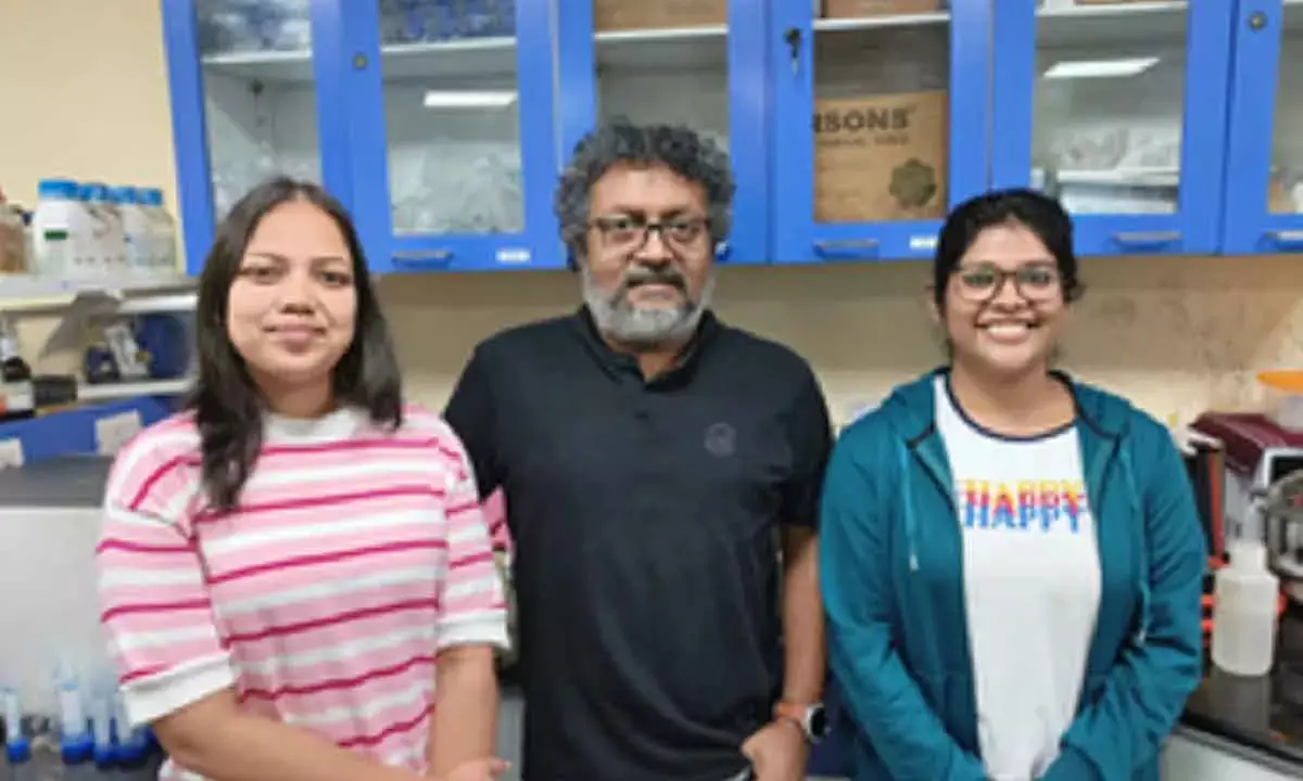 Injectable Hydrogel Developed For Breast Cancer Treatment