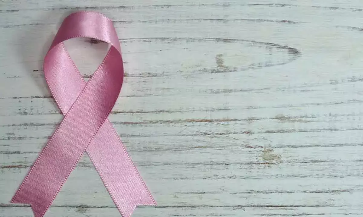 An Advanced Injectable Hydrogel Raises Hopes Of Transforming Cancer Treatment