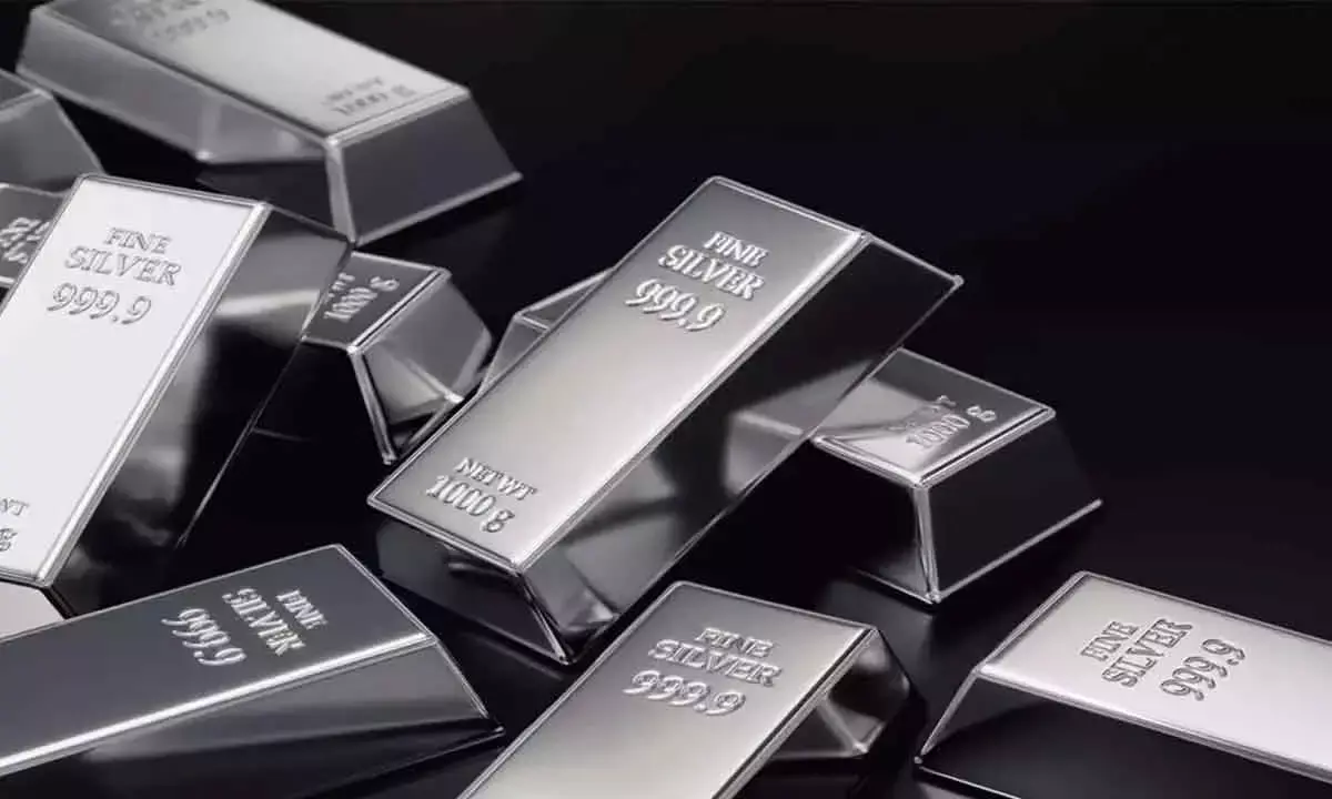 Silver futures fall on reduced bets