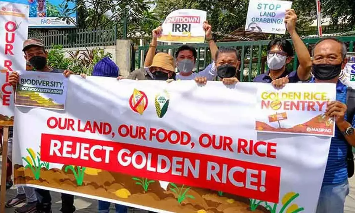 Promoting Corporate-Driven Fortification As The Route To Address Iron-Deficiency Is Ill-Advised Promoting Corporate-Driven Fortification As The Route To Address Iron-Deficiency Is Ill-Advised