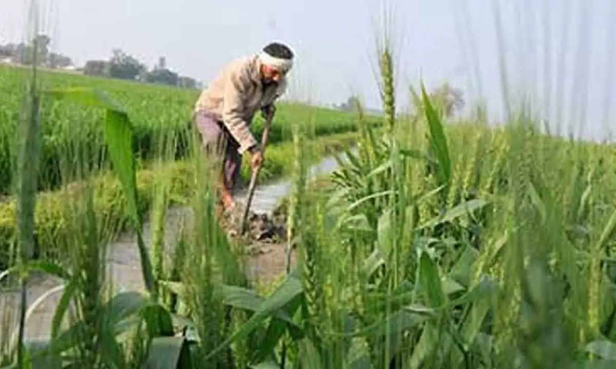 A GST Council-Like Body For Agri Reforms Makes For A Good Idea