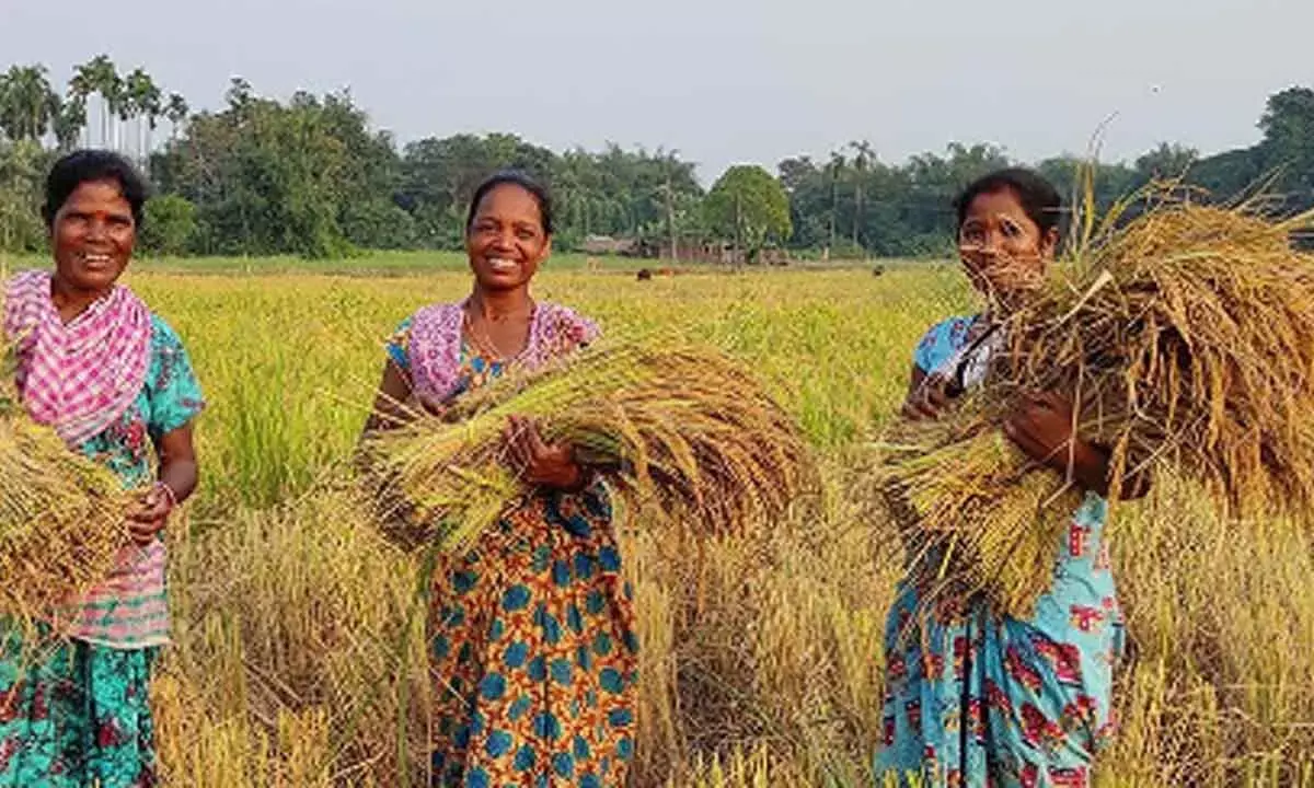 India To See Significant Growth In Agri Export In 2025: Report