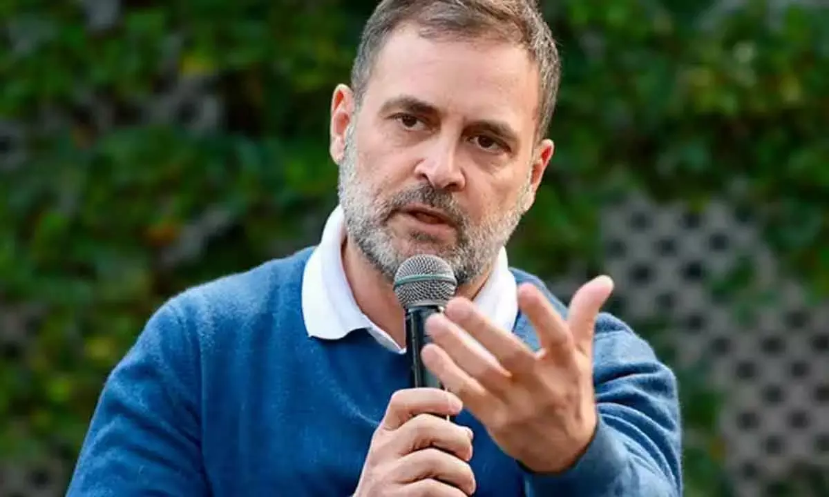 Privatisation Doesnt Guarantee Quality Education, Govts Need To Spend More: RaGa