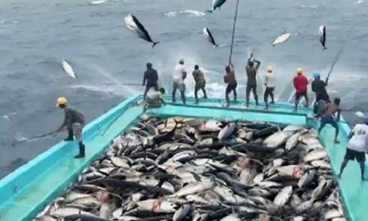 Centre To Roll Out Rs 50 Cr Worth Fisheries Sector Schemes For N-E