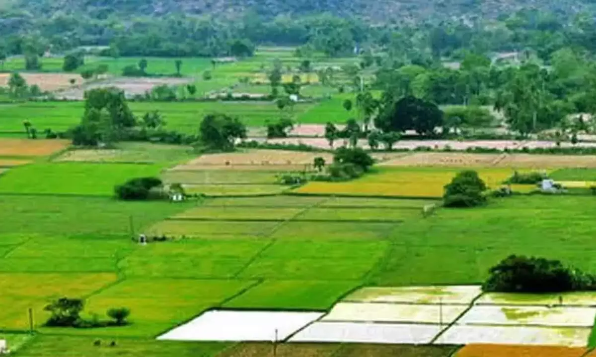 AP Govt Mulls Allowing Registration Of 22A Lands