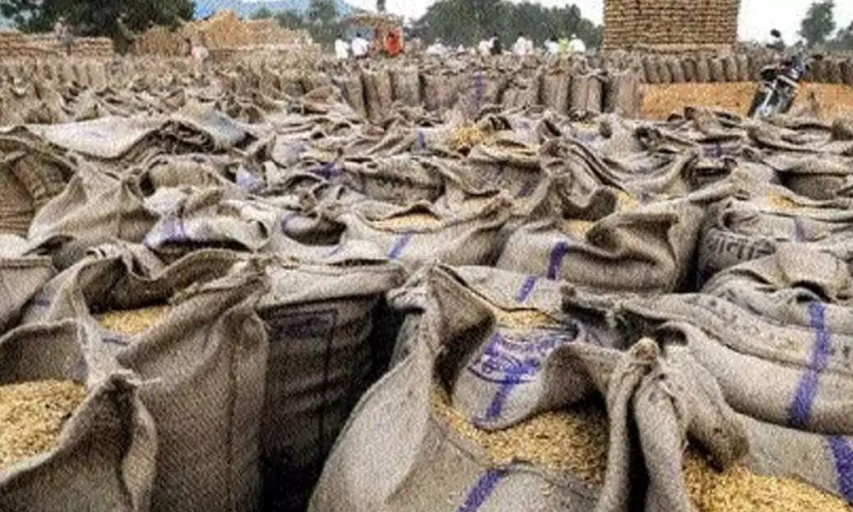 Govt Fixes 8.19% Return On Capital’ For Jute Bag Supplies
