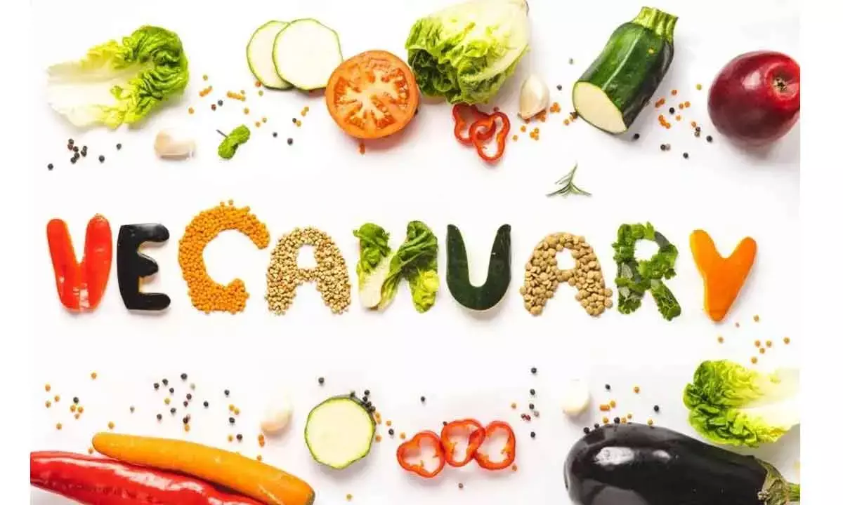 Taking To Plant-Based Diets Can Save 80 Billion Animals Every Year And Cause 75% Less Environmental Damage