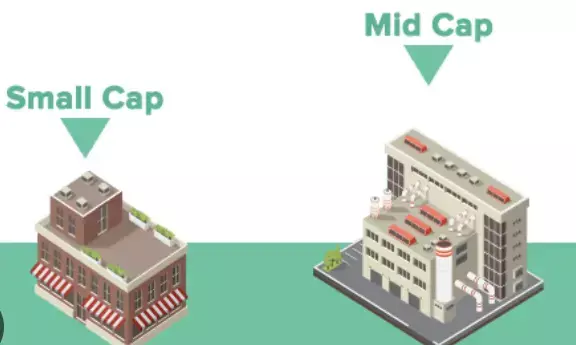 Will 2025 bring a breather to mid-cap, small-cap stocks? Experts share their views