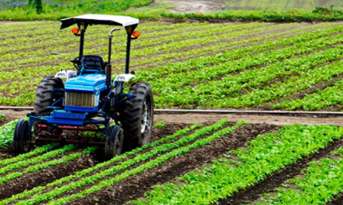 Huge Potential For Indian Exporters To Enhance Global Share In Agri Trade