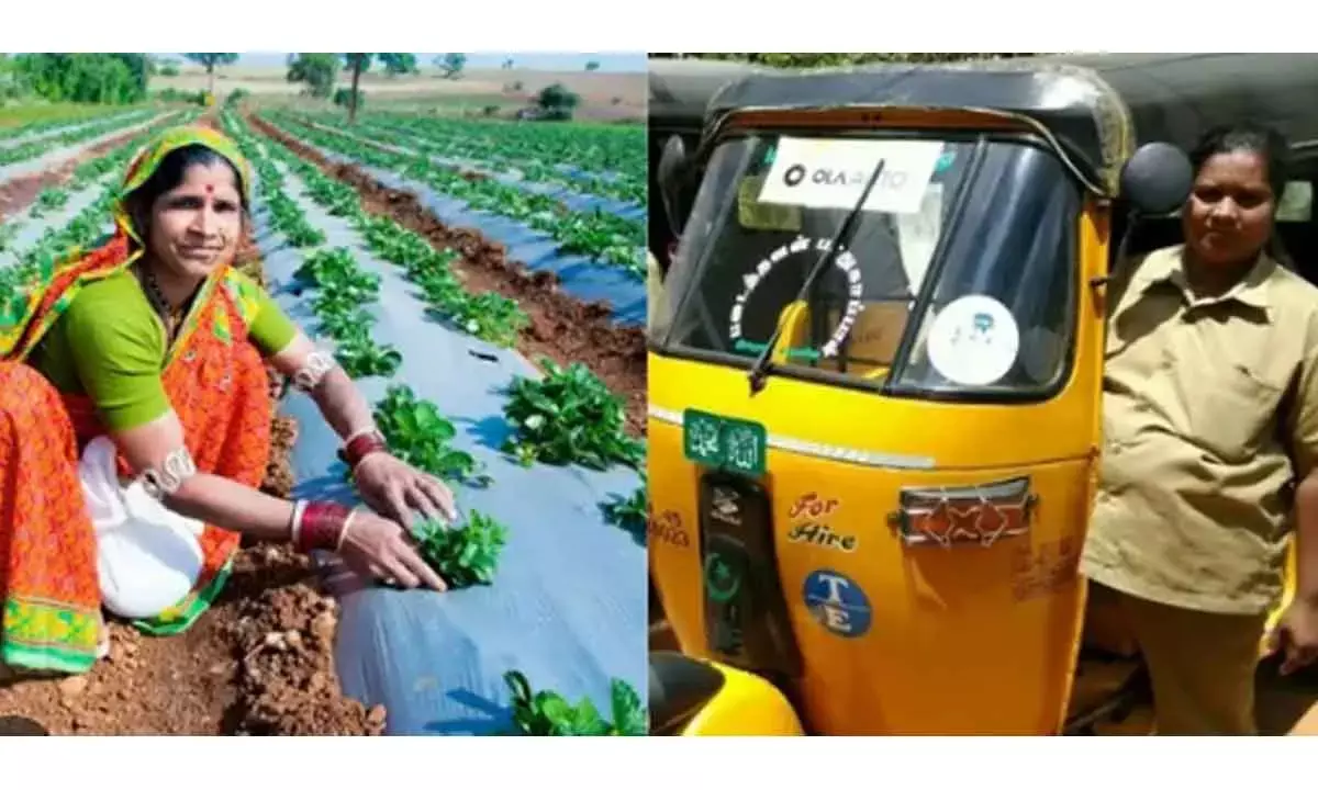 Farm Workers, Drivers Growing Jobs; Cashiers, Clerks Most Declining