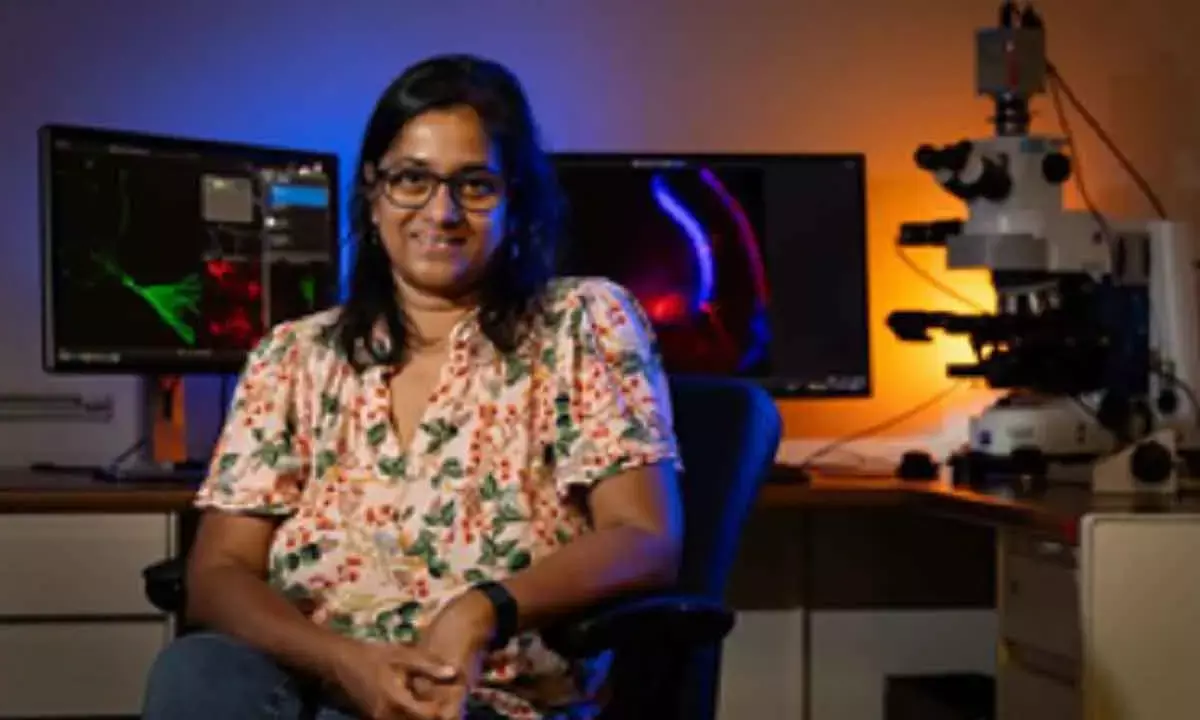 Bharat-Bred Scientist Finds Gene Behind Autism, Seizures