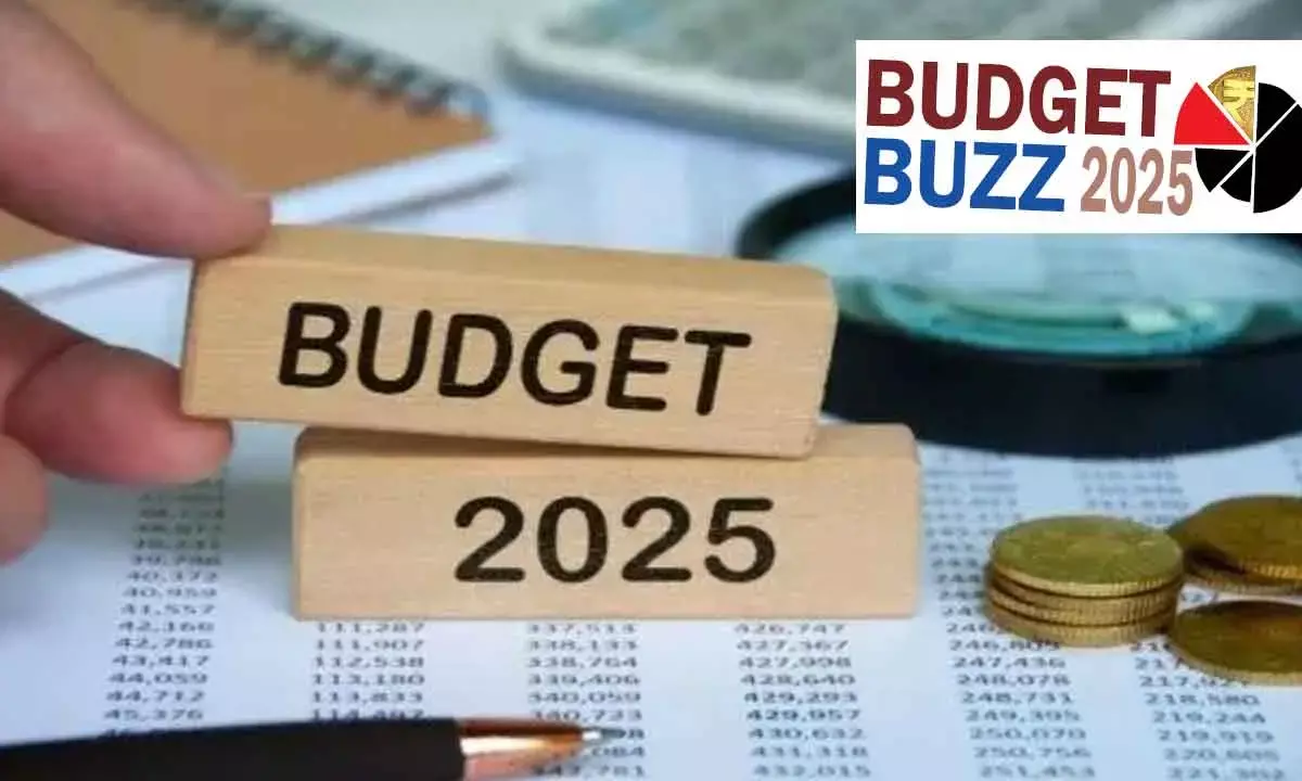 Fintech And EV Industries Readying Their Budget-2025 Wish List