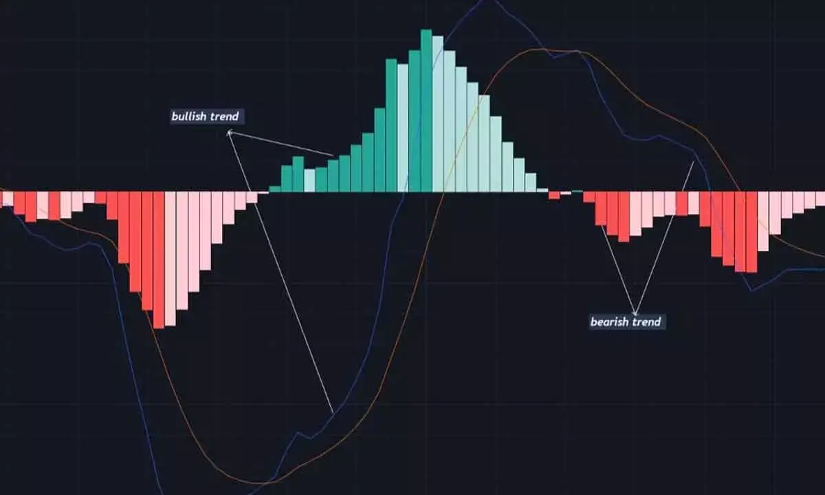 MACD Signals Increased Bearish Bias