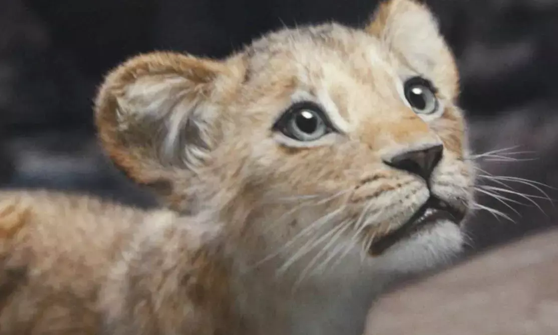 Mufasa: The Lion King faces box office decline, drops over 300 theatres and loses top spot on 4th Friday