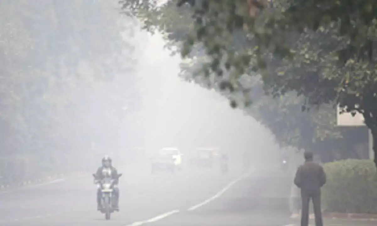 Study Finds Petrochemical Industries Behind Winter Ozone Pollution